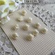 10 boutons blanc fleur