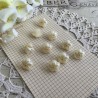 10 boutons blanc fleurs perle