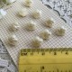 10 boutons blanc fleur