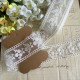 Dentelle tulle beige 1M