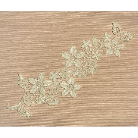 Applique dentelle blanc