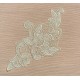 Applique dentelle blanc